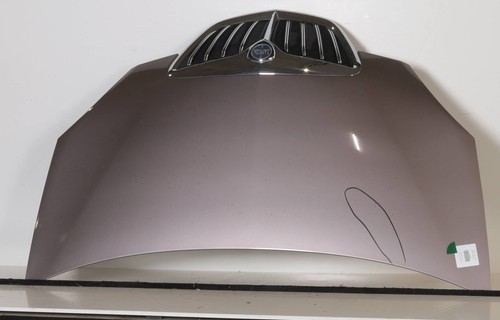Cofano anteriore 51732277 - cofano,