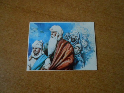 Figurina storia delle civilta - delle, civilta'