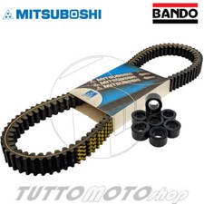 Cinghia Distribuzione + Rulli