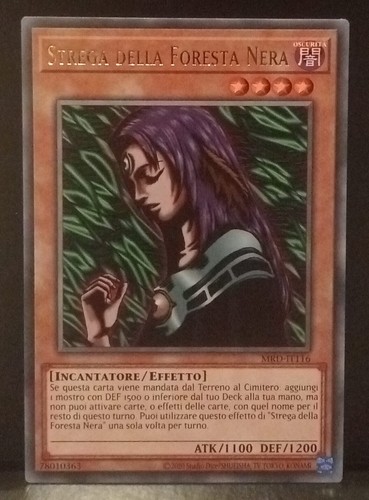 Strega della foresta nera - della,