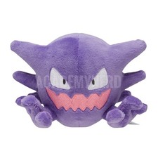 HAUNTER FIT POKEMON CENTER