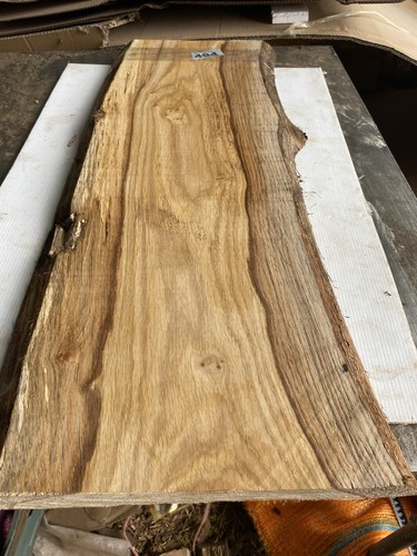 Plancia rovere tavola in - plancia,