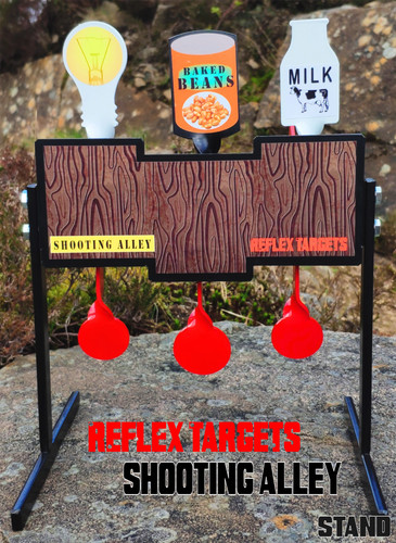 Shooting alley pistola fucile - shooting,
