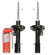 2x Ammortizzatori + Olio