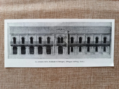 Palestra della fortitudo di - palestra,