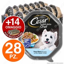 Cesar Scelta dello Chef Cibo