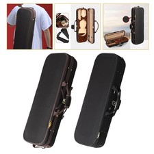 Violino Violino che trasporta