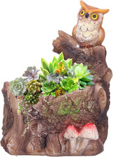 Vaso per Piante Innovativo