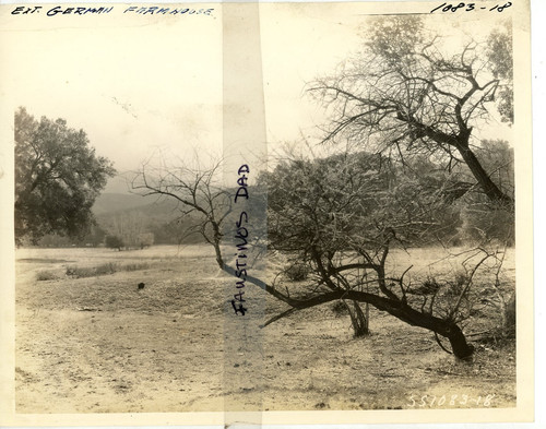 Foto epoca produzione - d'epoca, 8x10