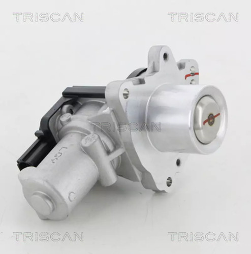 Valvola egr triscan 8813 - triscan, 18045