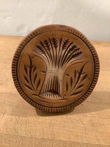 Antico primitivo fascio - primitivo,