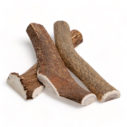 Dilecti corno cervo - cervo, per