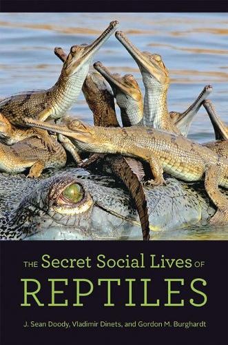 The secret social lives - the,