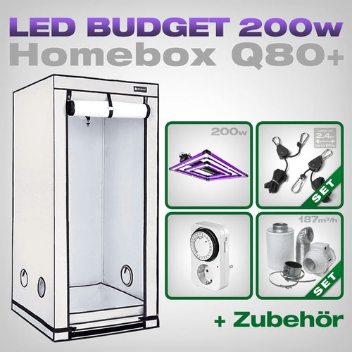 Homebox q80 80x80x180 led - q80+,