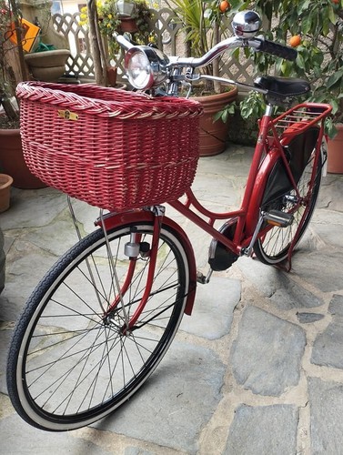 Bicicletta vintage olandese