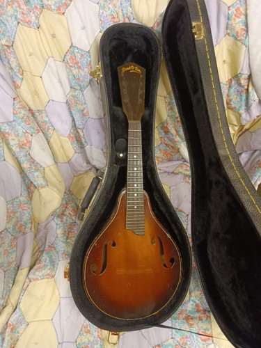 Mandolino stead lin - mandolino, o