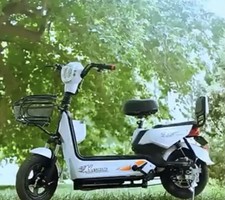 500 Watt Electric Scooter /
