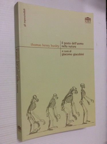 Posto dell uomo nella - posto, dell'uomo