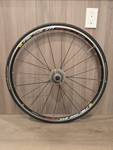 Ruota posteriore stradale