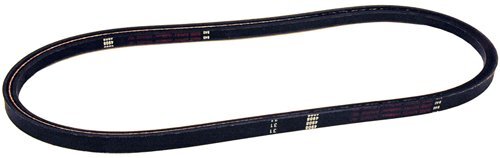 Cinghia rasaerba rotante 12461