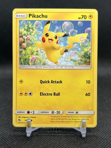 Pikachu pokemon hidden - pokemon,