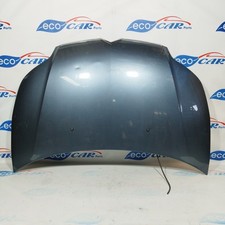 Cofano grigio scuro Citroen C4 2006 ecoAC5070