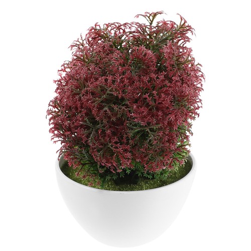 Pezzi piccoli bonsai - 2,