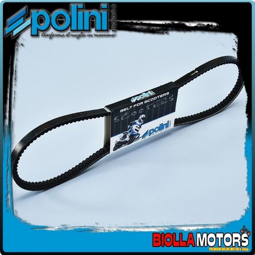 248 113 cinghia variatore - 248.113,