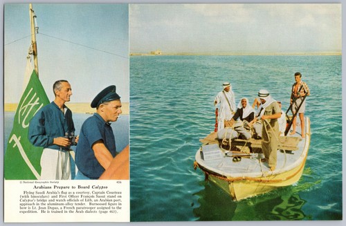 1952 arabians board jacques - 1952,