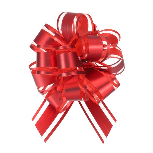 6pcs fiocco regalo grande - 6pcs,