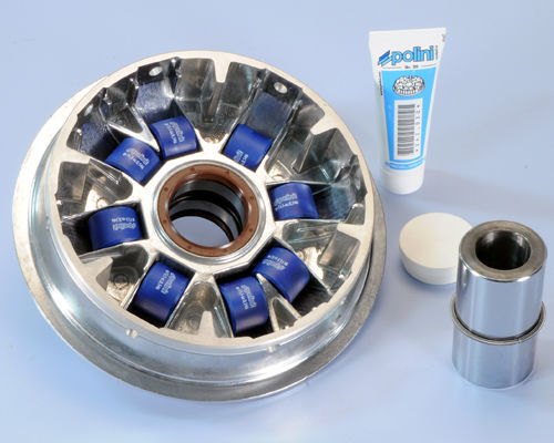 241 663 variatore - variatore, polini