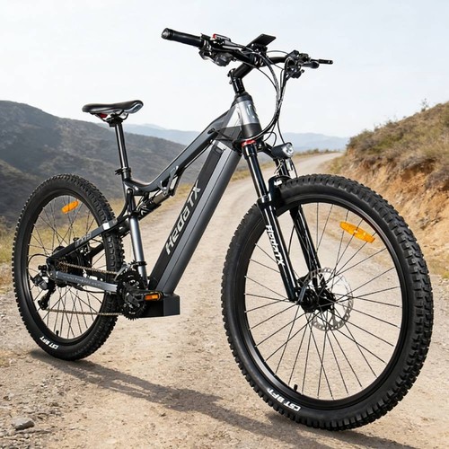 Bicicletta elettrica 48v - bicicletta,