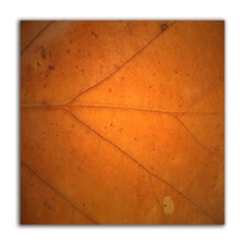 Quadri astratti Tezt 75 stampa