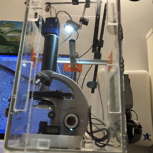 Zeiss standard microscopio - zeiss,