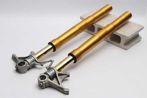 Set sospensioni forcella
