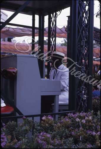 Disneyland pianoforte