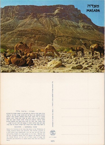Masada veduta dintorni - masada,
