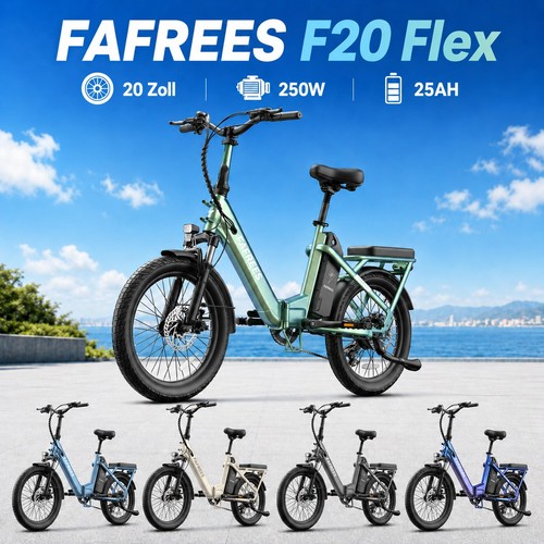 Bicicletta elettrica fafrees - bicicletta,