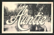 Lotto parco con ponte e