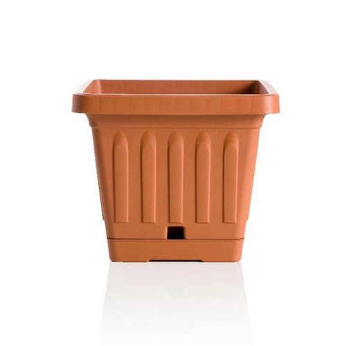 Bama vaso quadro colore - bama, |