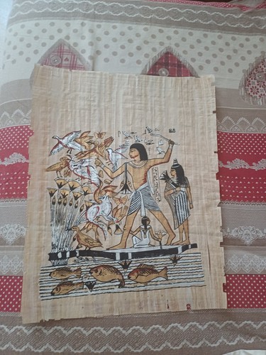 Papiro egiziano - papiro,