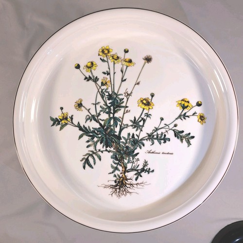 Choice villeroy boch botanica - choice,