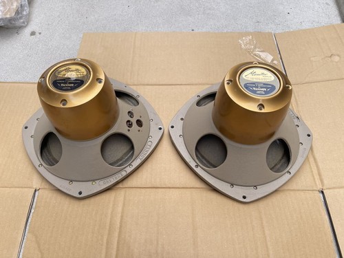 Coppia driver tannoy - coppia, monitor
