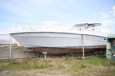 barca a motore 12 mt senza motori 200cv Ferma da anni