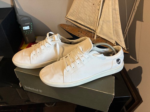 Sneakers timberland uomo - sneakers,