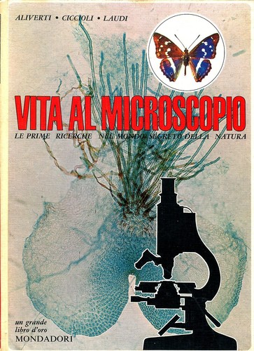 Aliverti ciccioli laudi vita - aliverti,