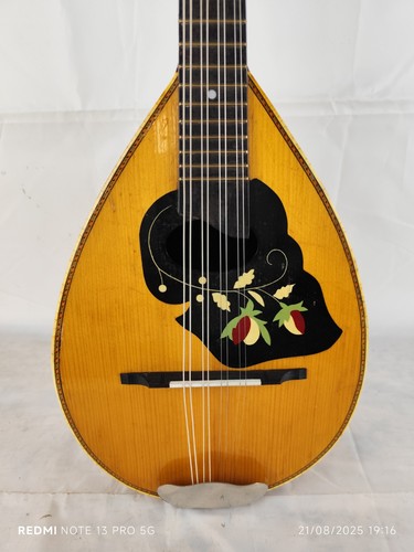 Mandolino liuteria meazzi - 4/4,