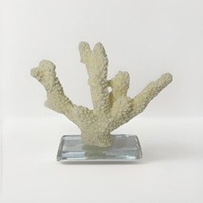 Statua in corallo su base in