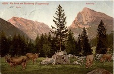 Alp Loue am Säntisweg -198386