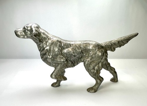 Setter inglese golden - setter,